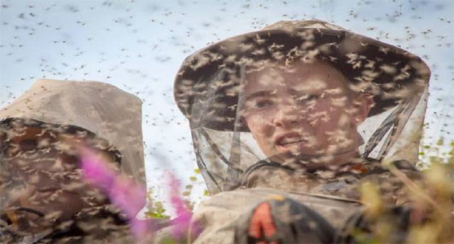 how outdoorsmen can deal with these tiny biting bug