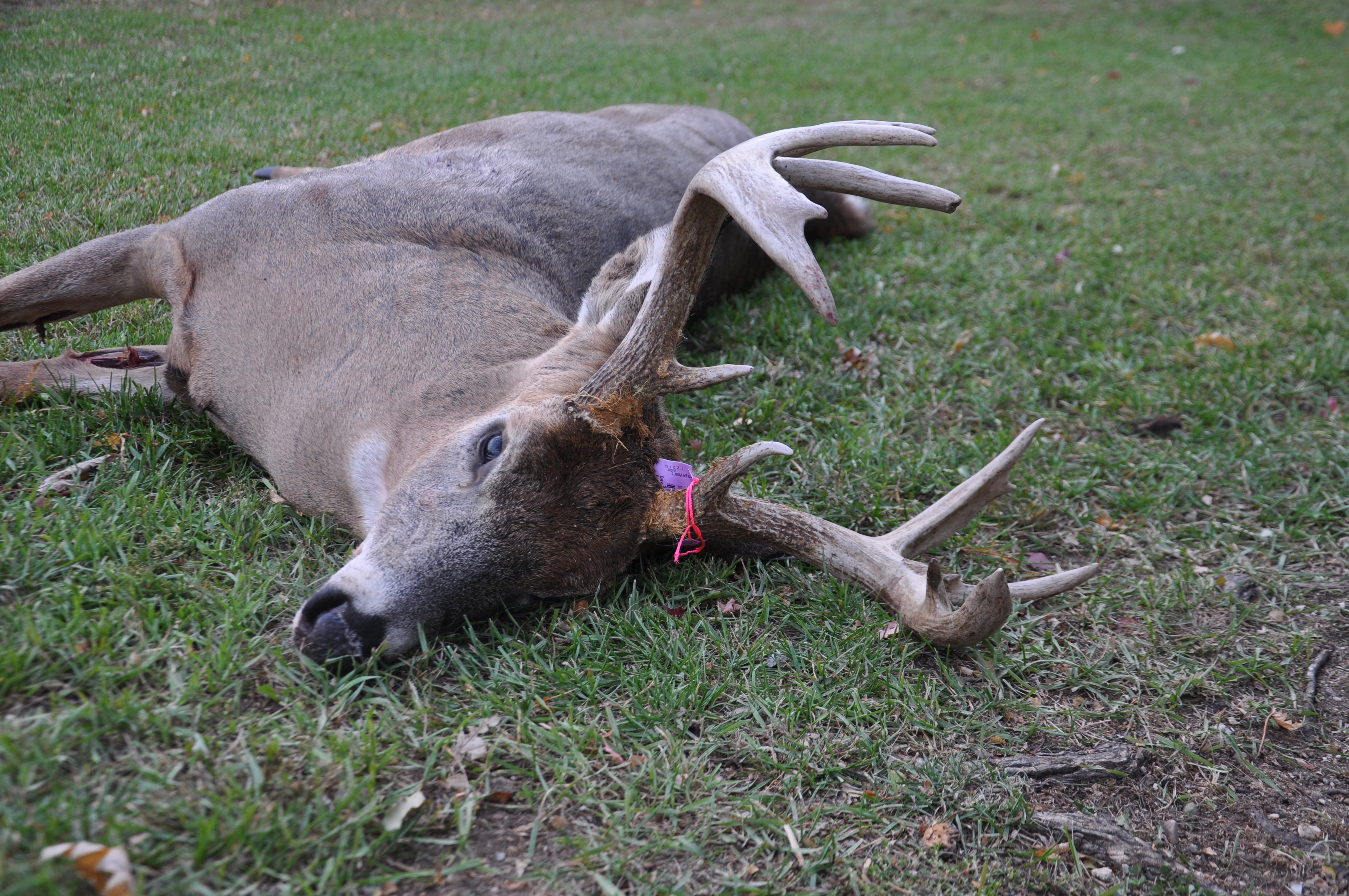 Deer Season Goals