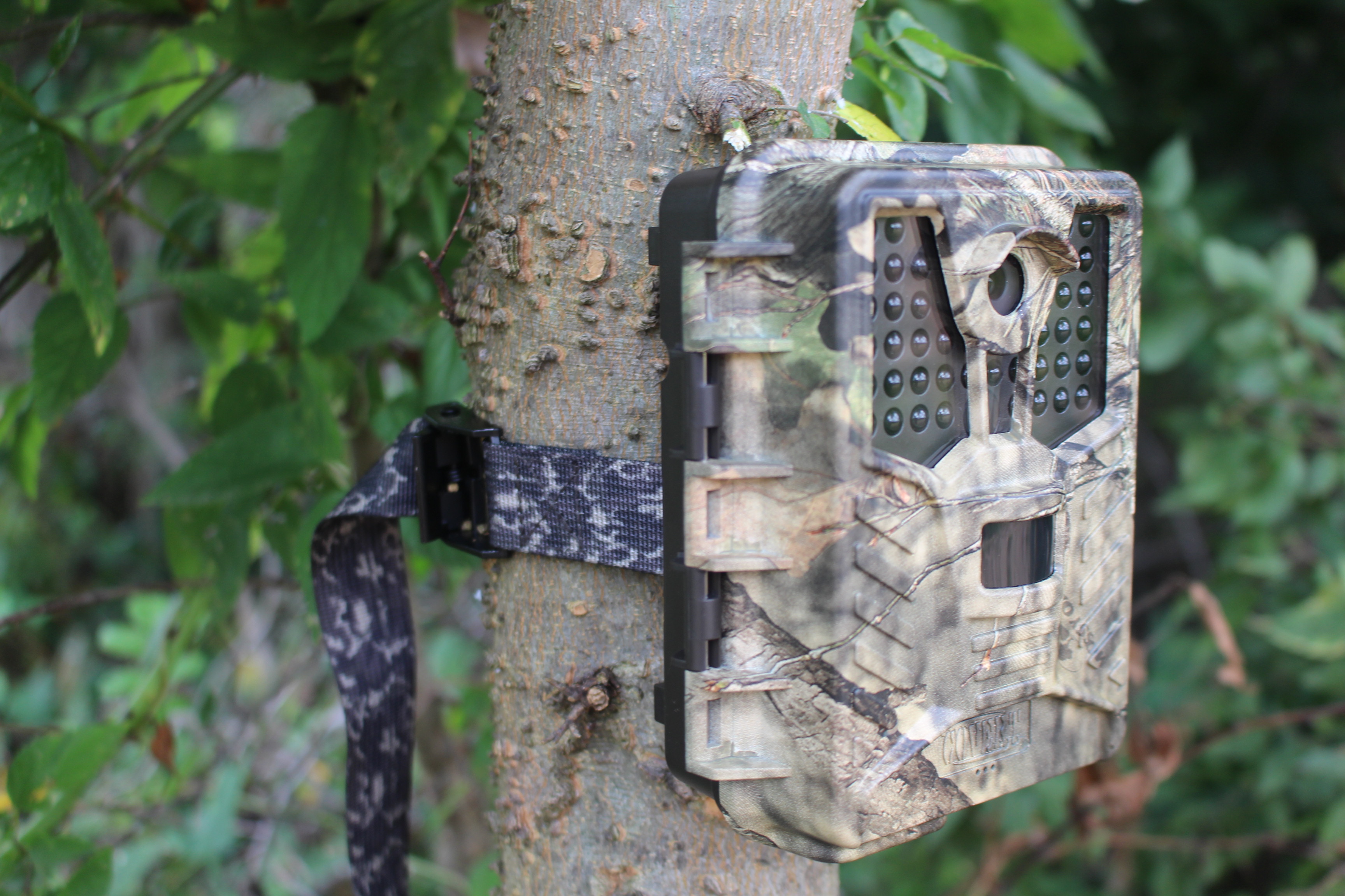 Covert ICE Cam
