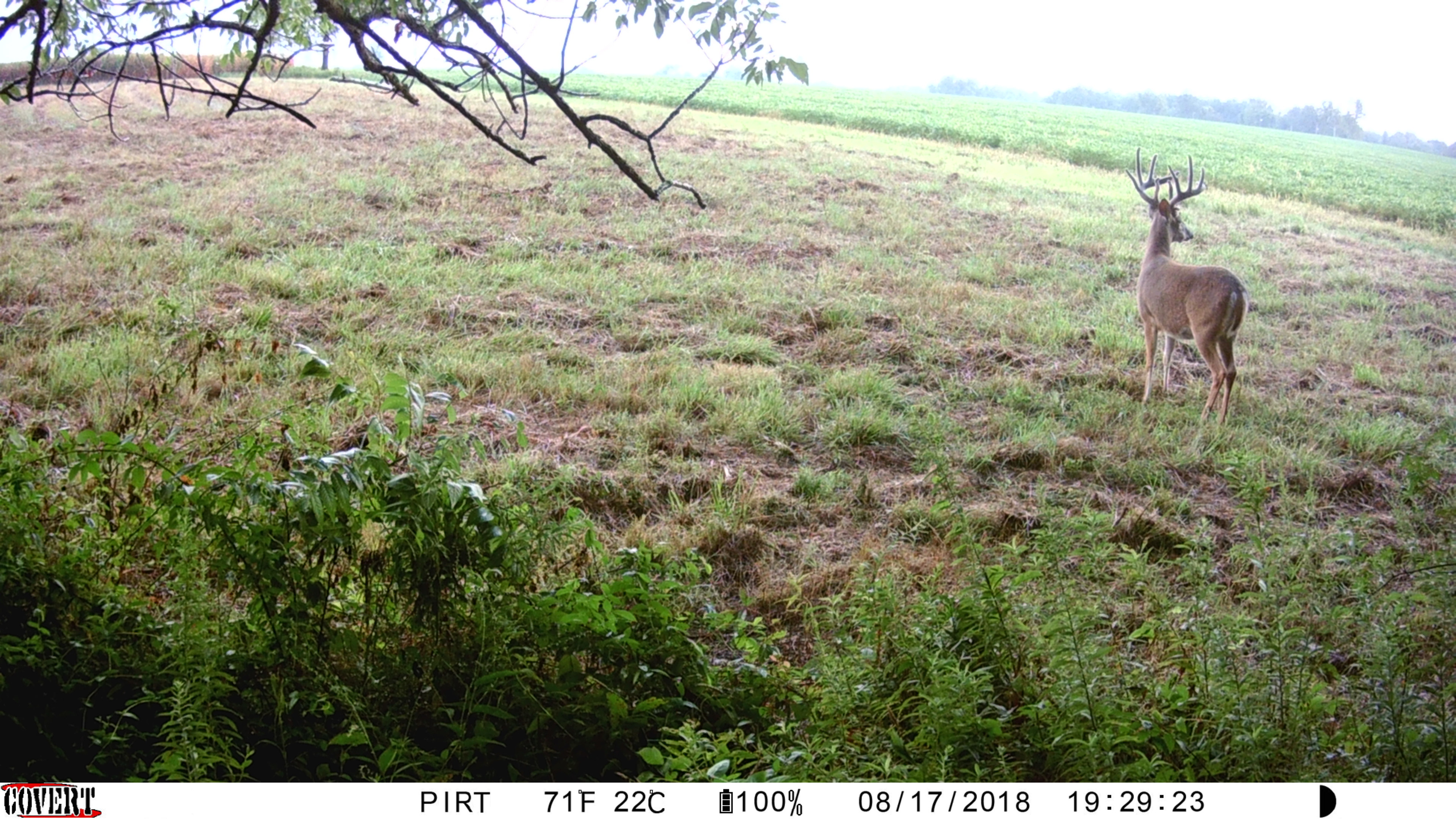 Covert Ice Camera