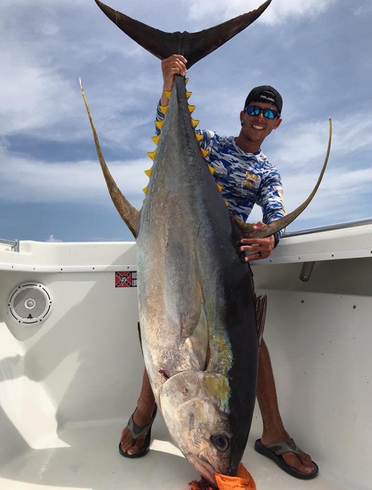 yellowfin tuna