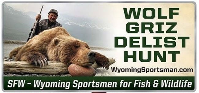 grizzly hunt permit