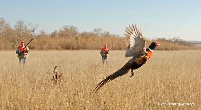 hunter numbers decline