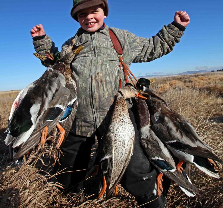 waterfowl