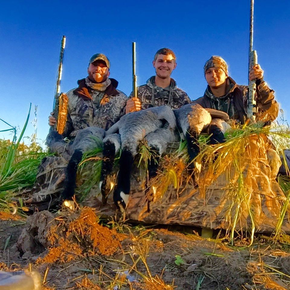 early goose hunting 