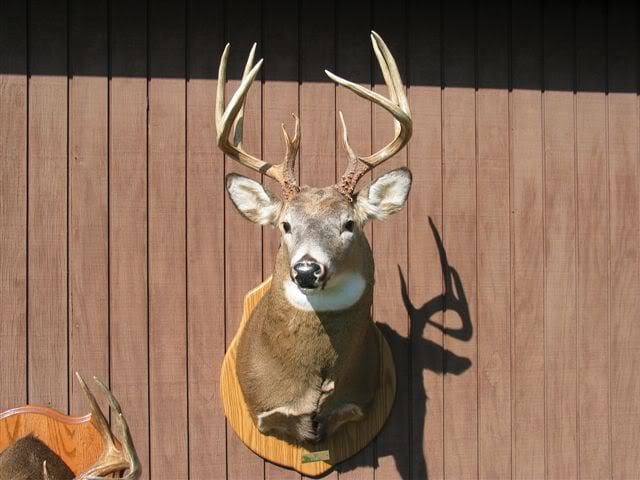 Deer Hunters