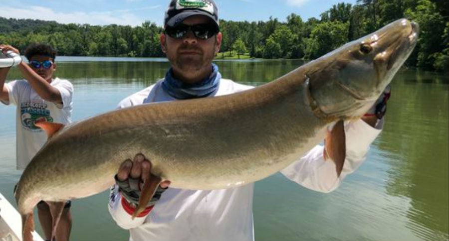 musky angler