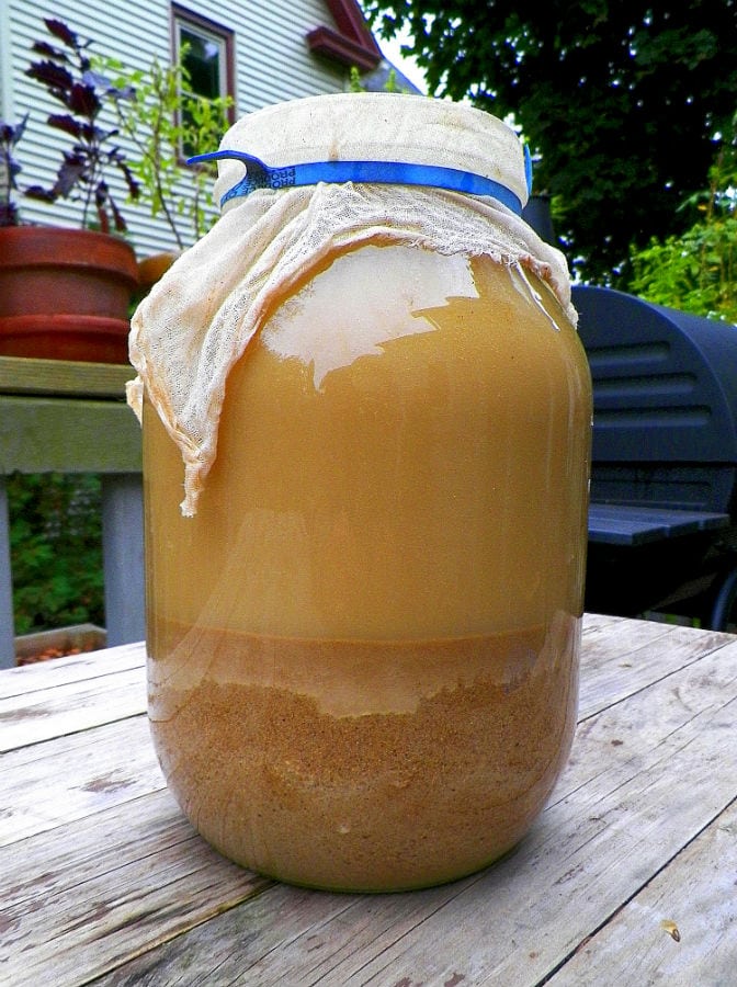 acorn flour
