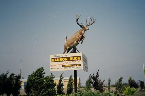 Milo Hanson Buck