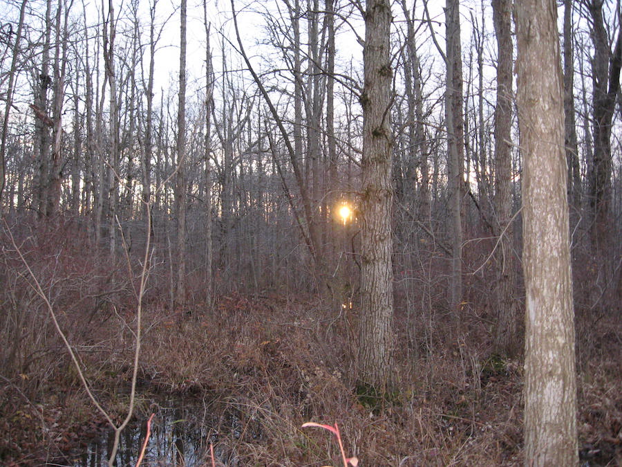 deer season
