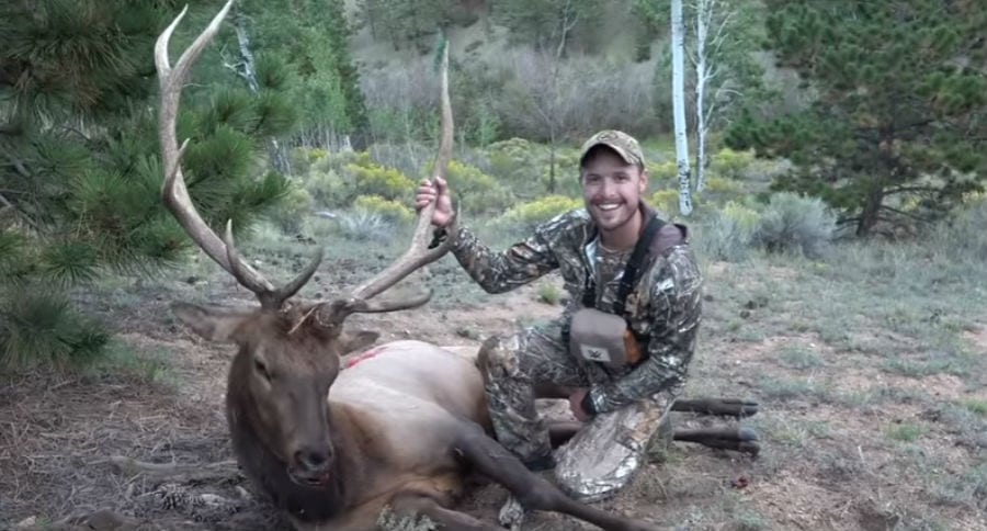Elk