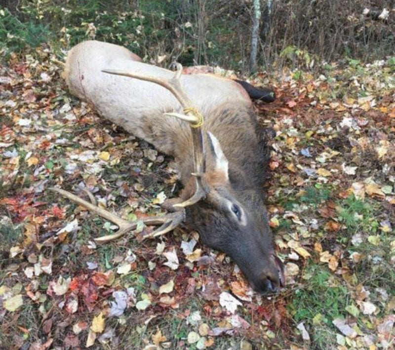 inaugural elk hunt