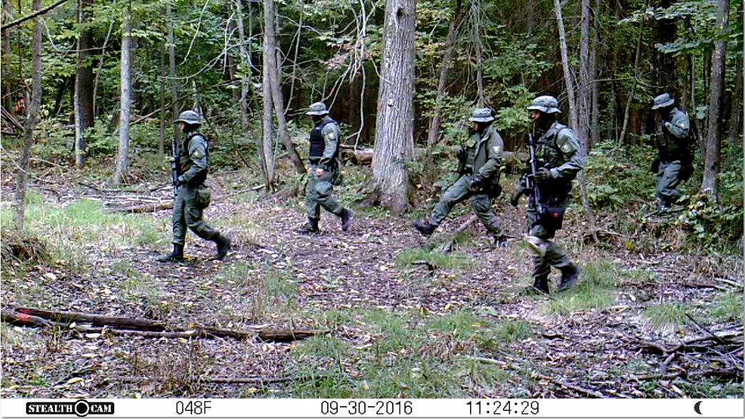 Trail Cam Tuesday