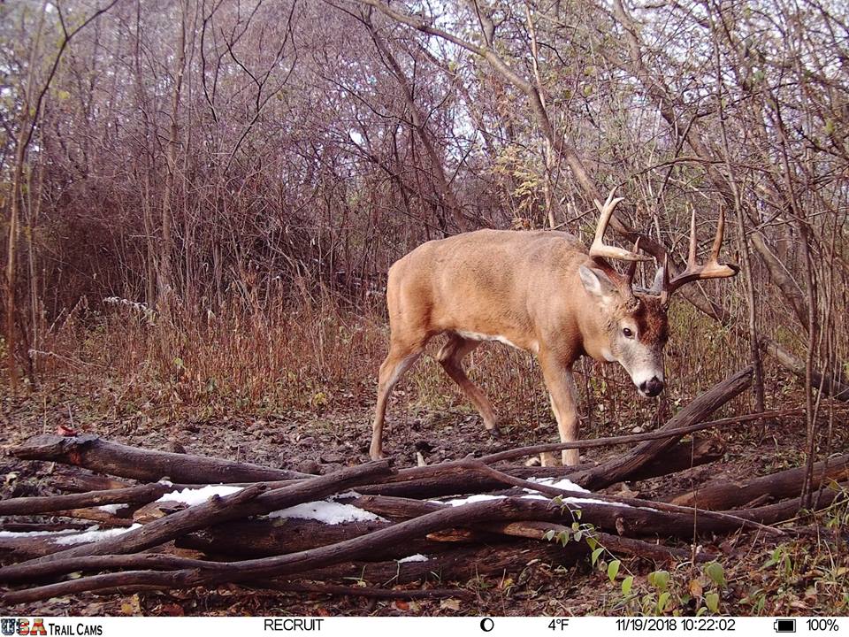 Trail Cam Tuesday