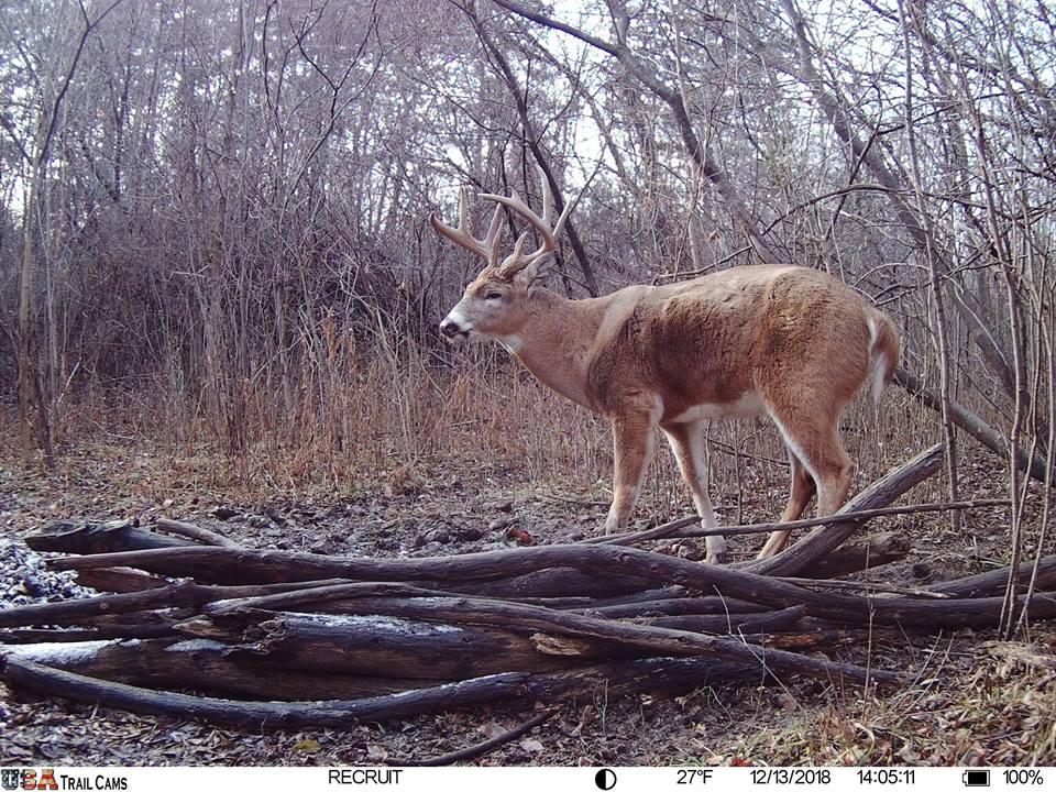 Trail Cam Tuesday