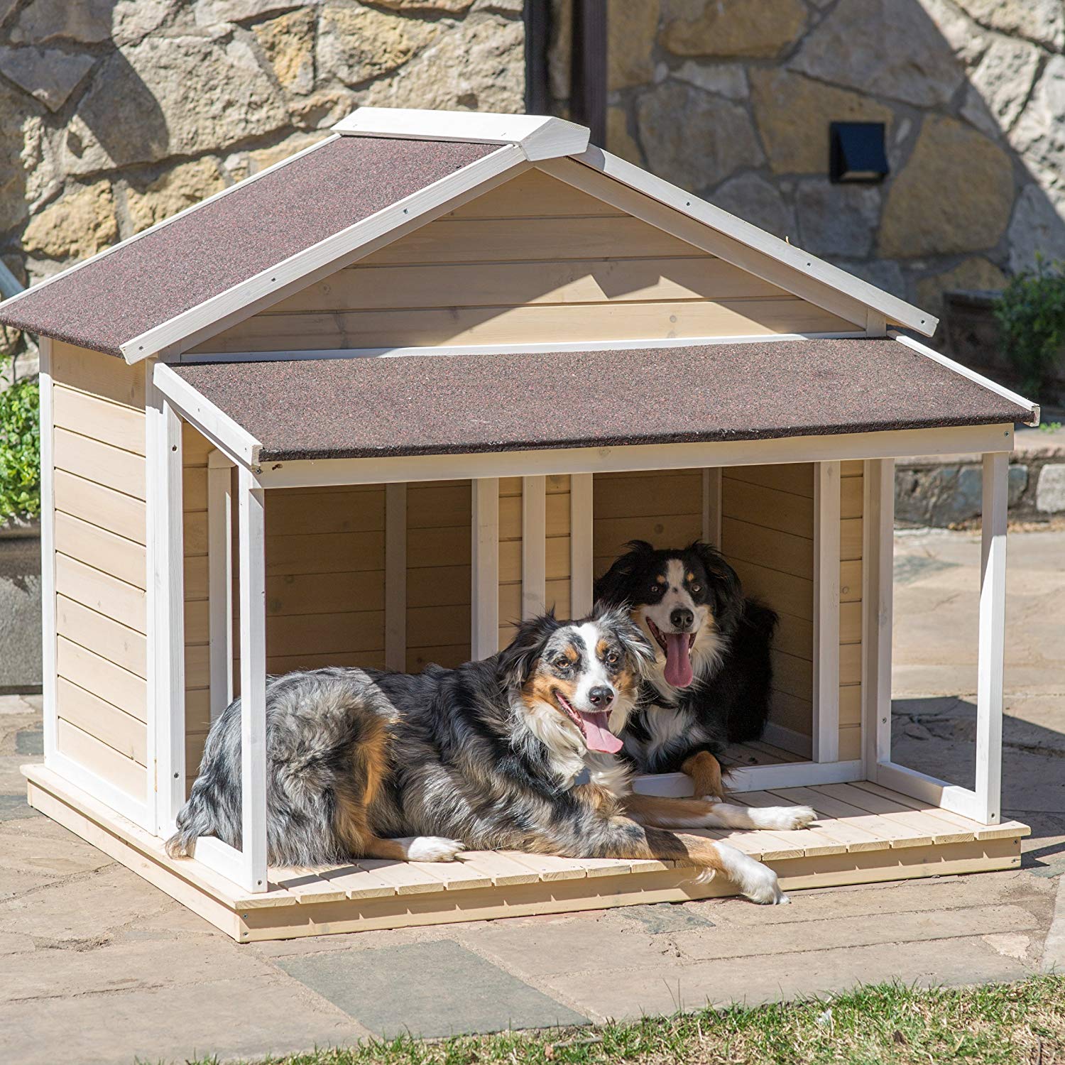 Dog House 