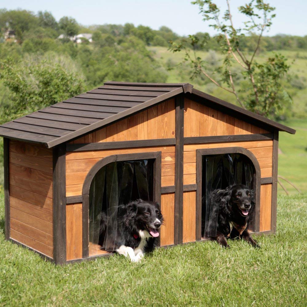 Dog House