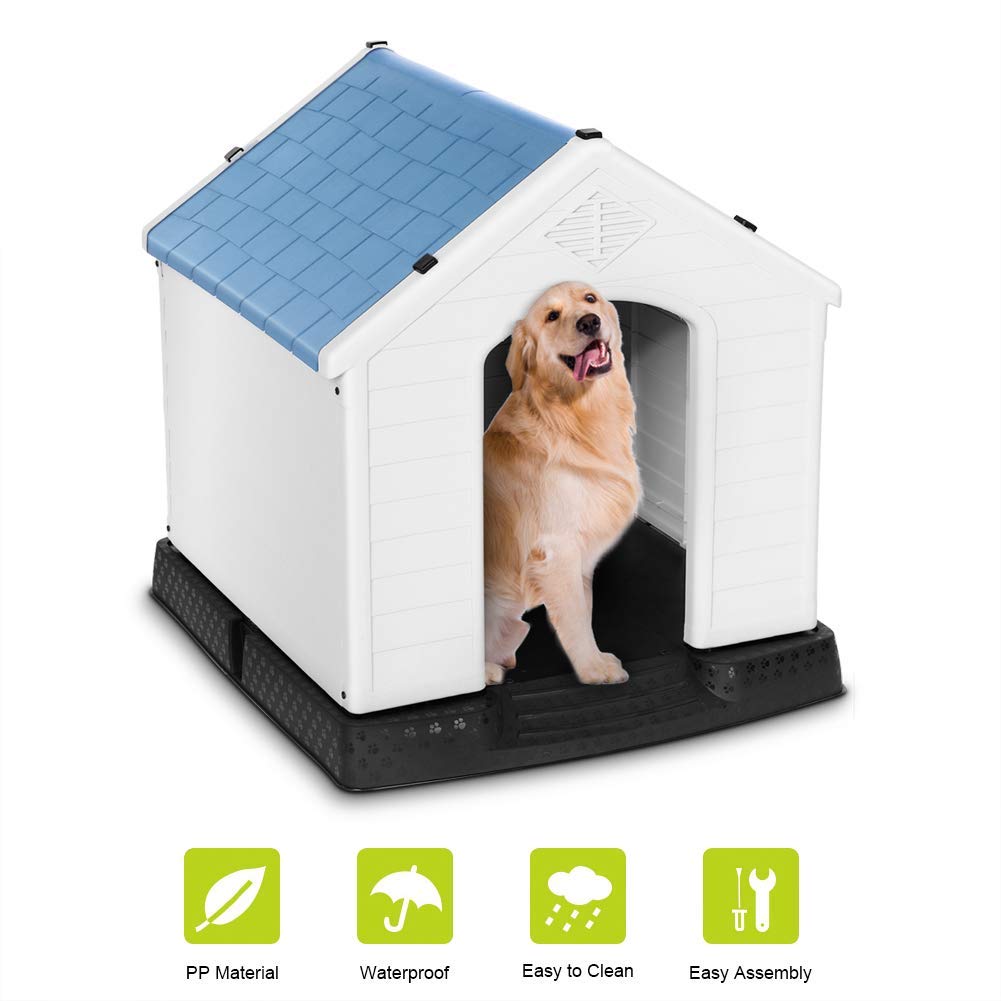 Dog House 