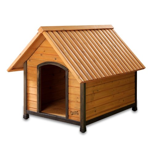 Dog House