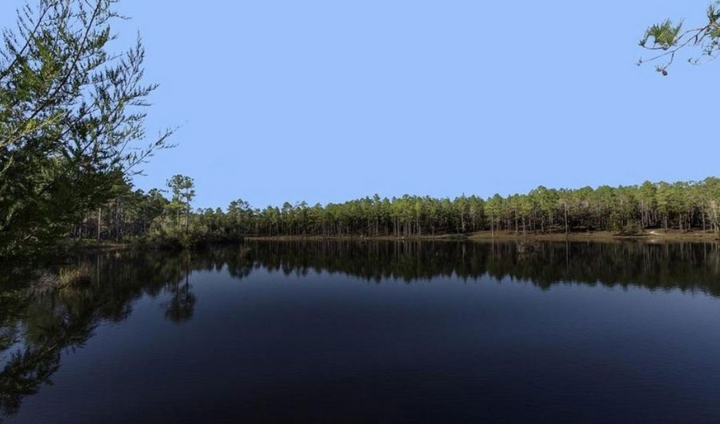 timber creek lodge