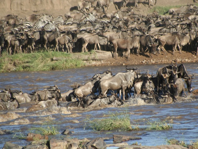 Where To Hunt In Africa