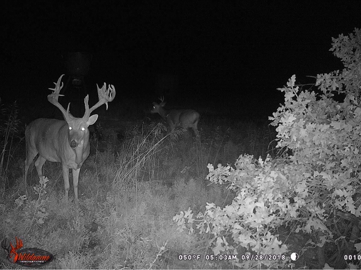 Trail Cam Tuesday