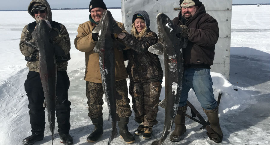 sturgeon spearing