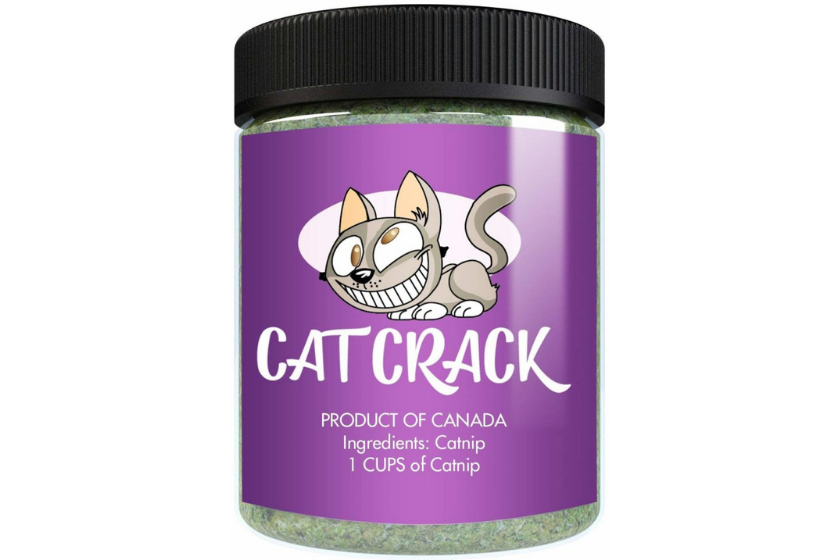 best catnip