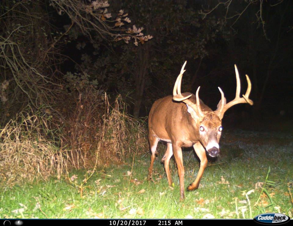 Trail Cam Tuesday