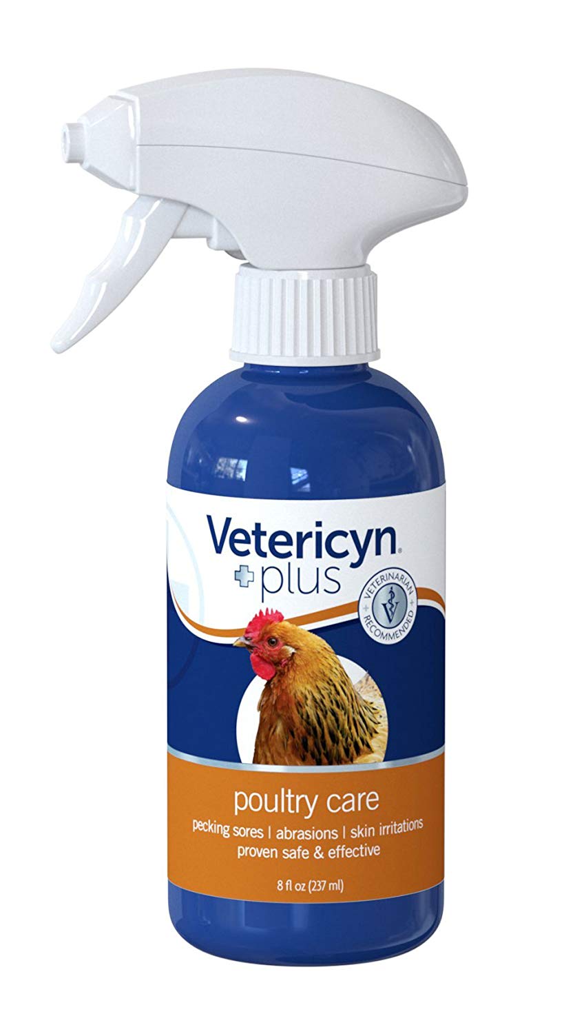 Chicken First Aid 