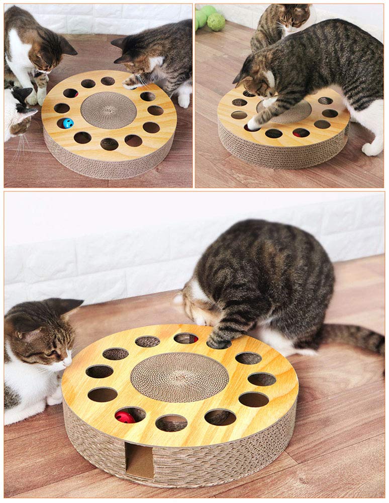Cat Games