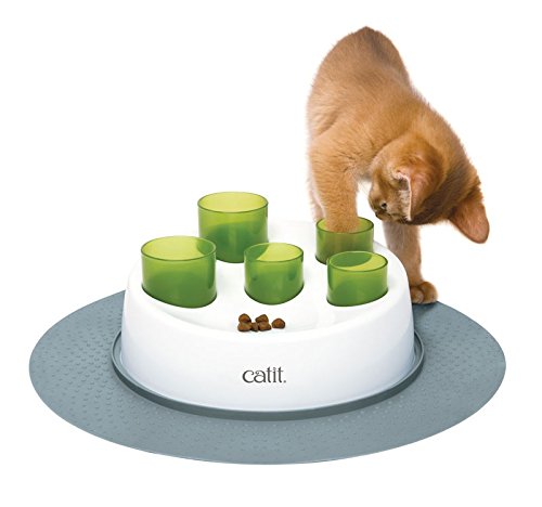 Cat Games