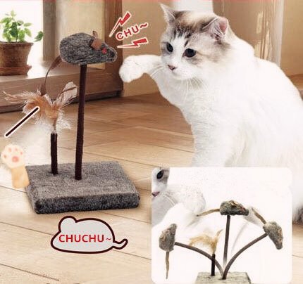 Cat Games