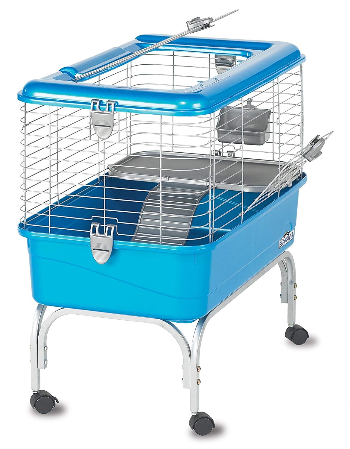 Guinea Pig 
