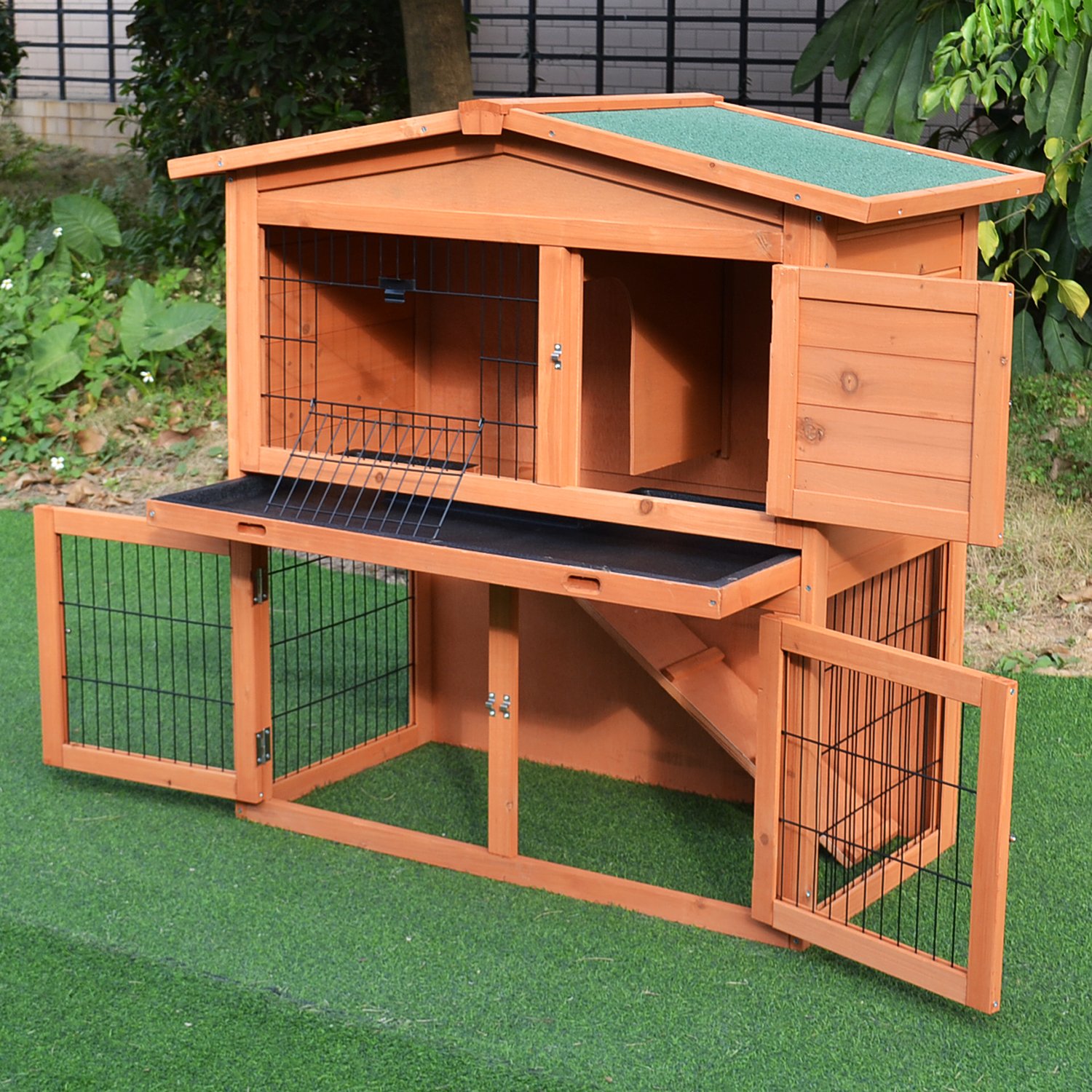 Guinea Pig 