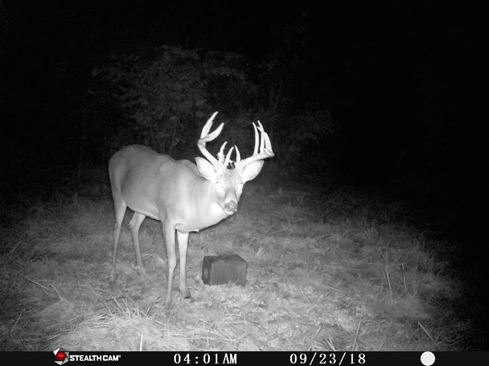 Trail Cam Tuesday