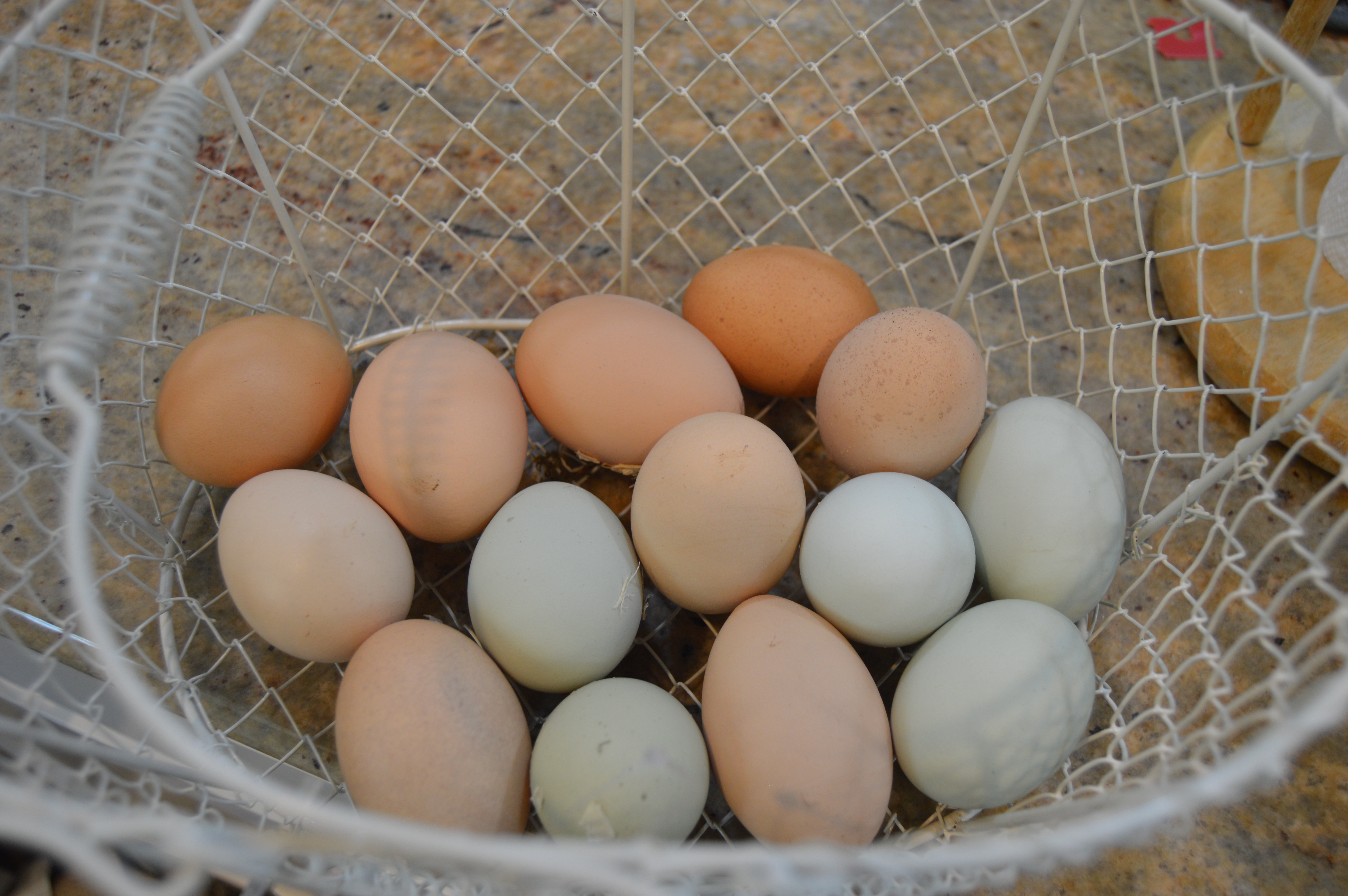 Fresh Eggs Daily 