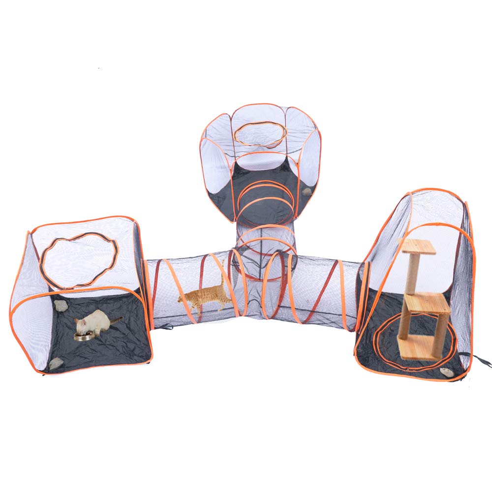 Catio