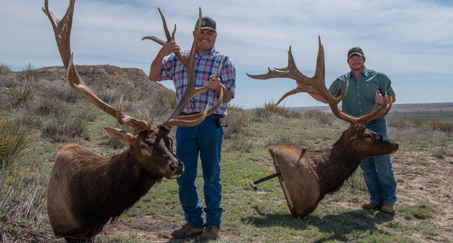 oklahoma elk