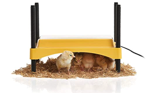 Brinsea Ecoglow Brooder Heat Lamp