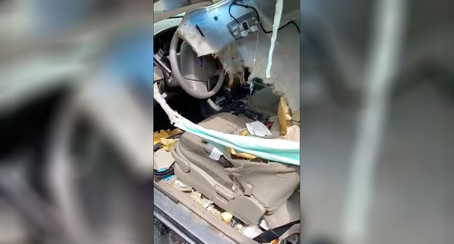 bear in car