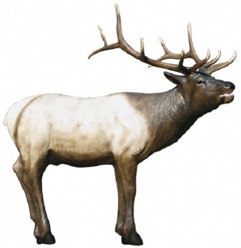 3D Archery Targets