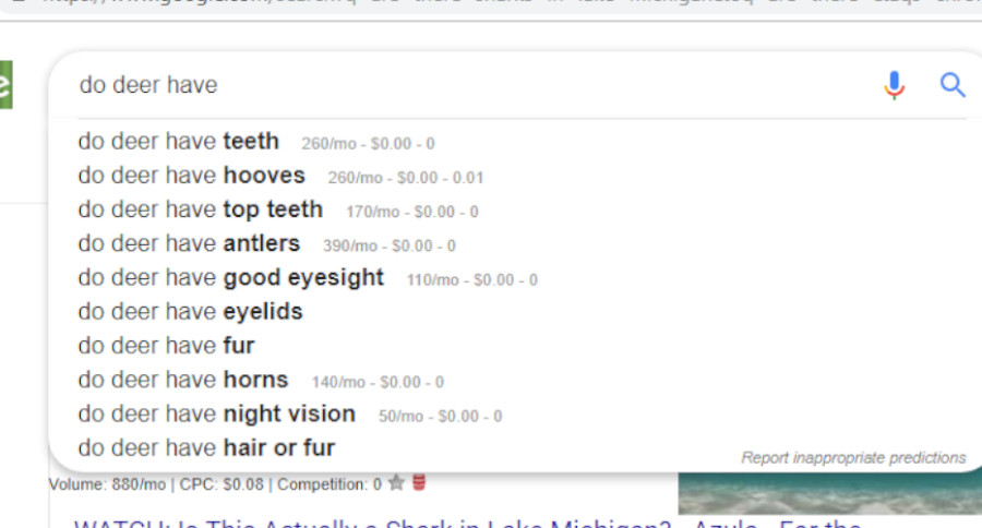 Dumb Outdoor Online Searches