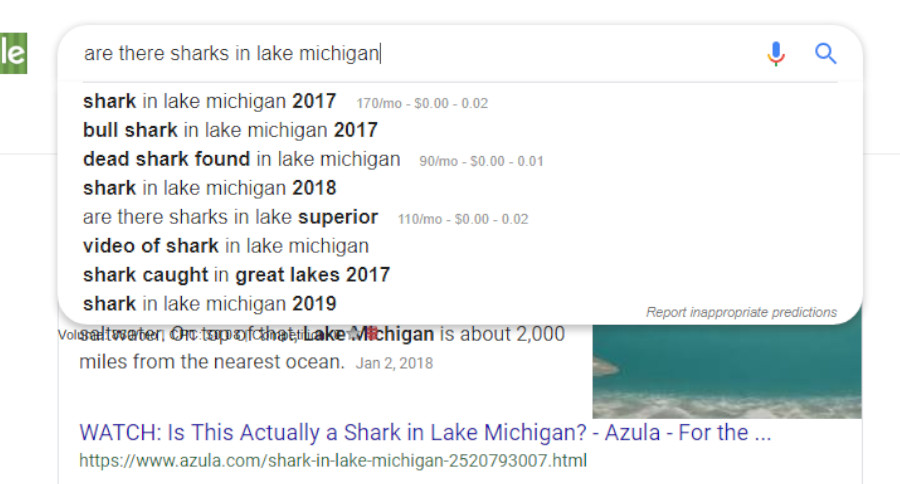 Dumb Outdoor Online Searches