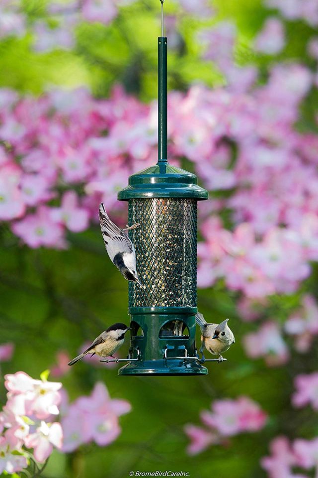 Squirrel Buster Standard Squirrel-proof Bird Feeder