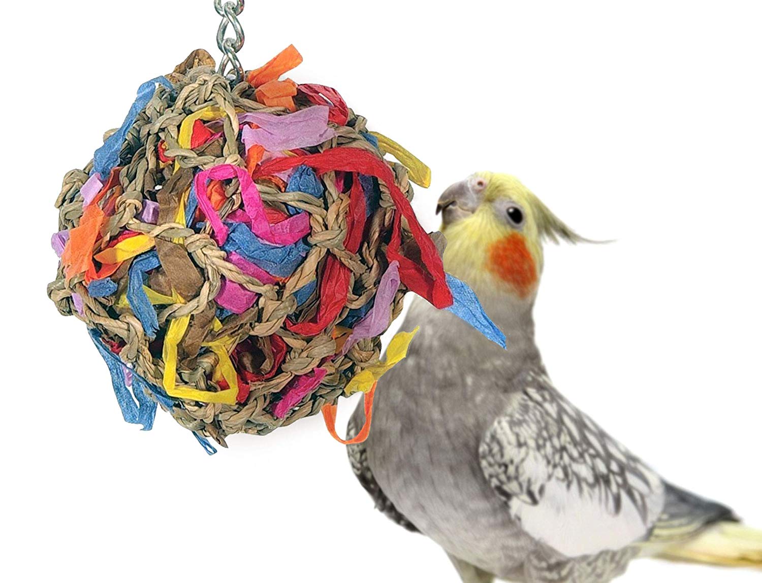 Sweet Feet and Beak Super Shredder Ball