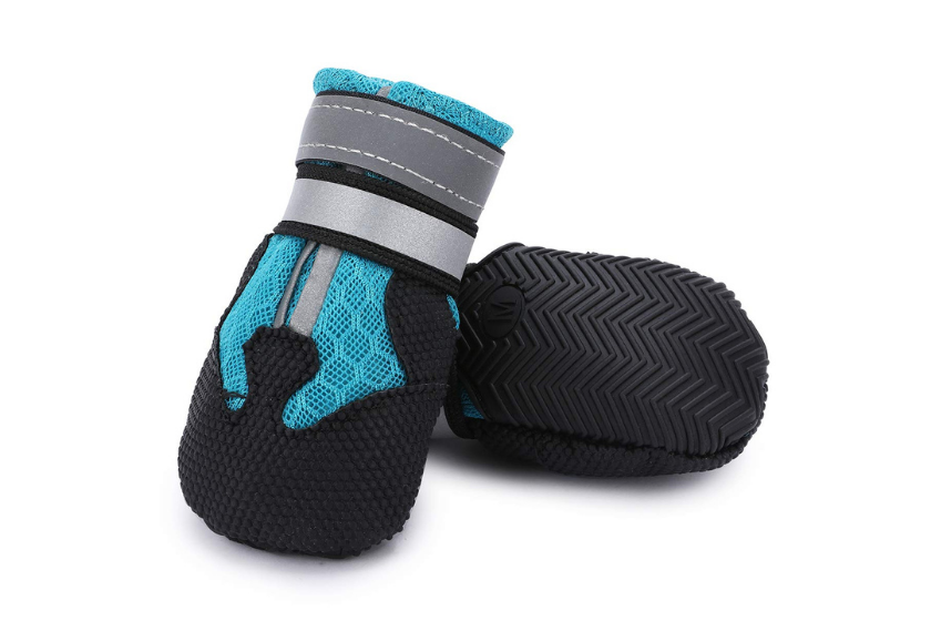 dog booties