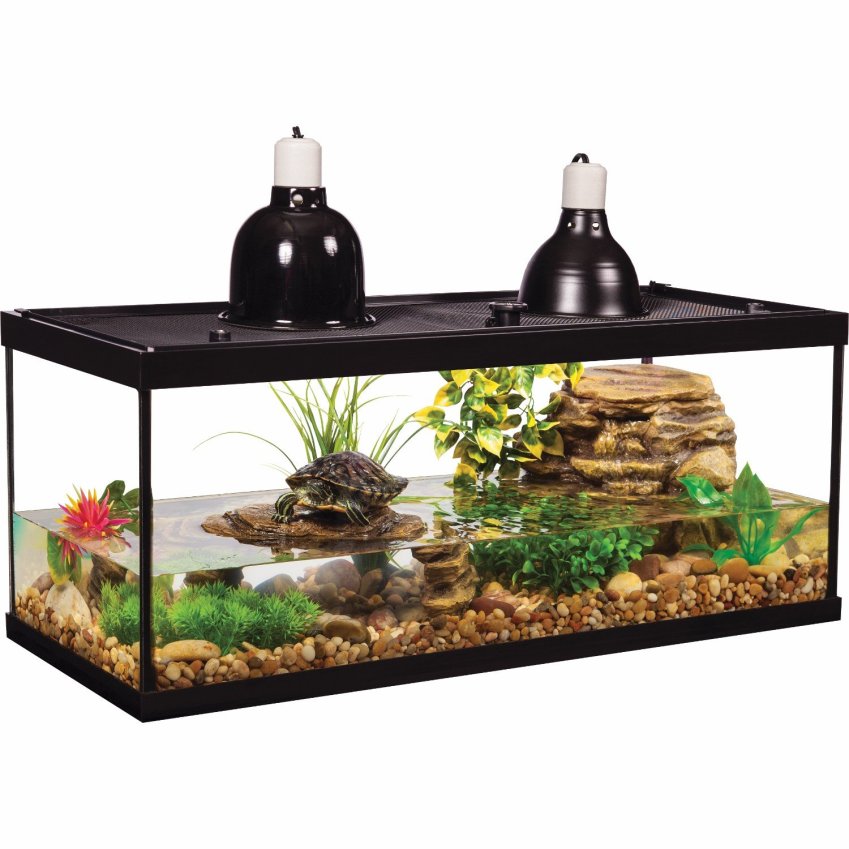turtle aquarium by tetra