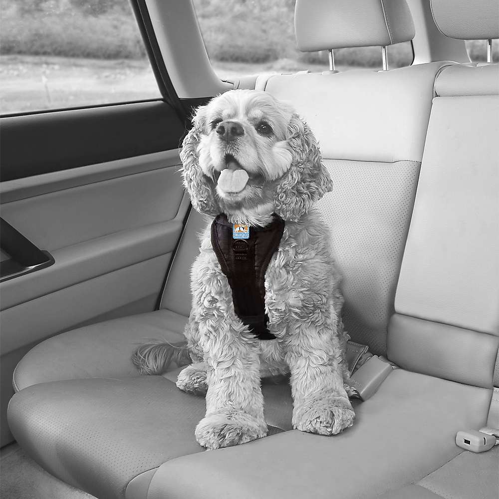 Kurgo Tru-Fit Smart Harness