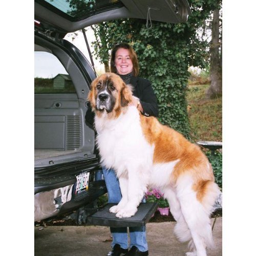 Otto Step Car Pet Ramp Pet Step